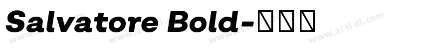 Salvatore Bold字体转换
